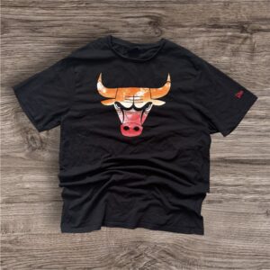 Chicago Bulls New Era Graphic тениска